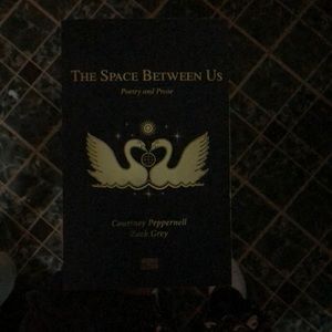 The space between us - Courtney peppernell and Zack grey